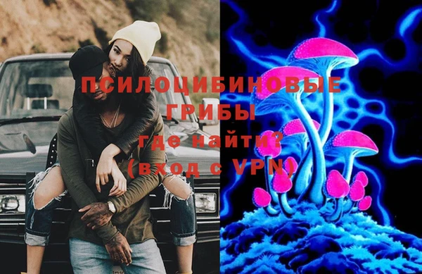 прущая мука Михайлов