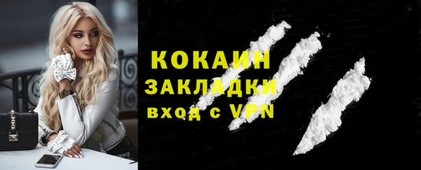 стаф Михайловск