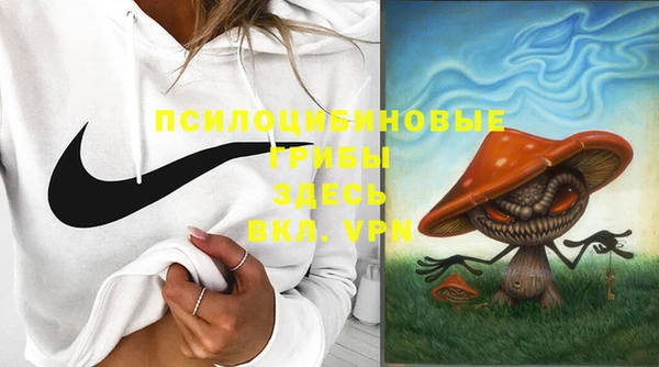 прущая мука Михайлов