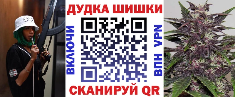 Шишки марихуана семена Сясьстрой
